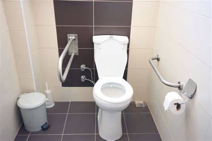 Do planes have disabled toilets?