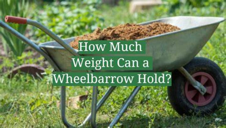 How much weight can a mule pull?
