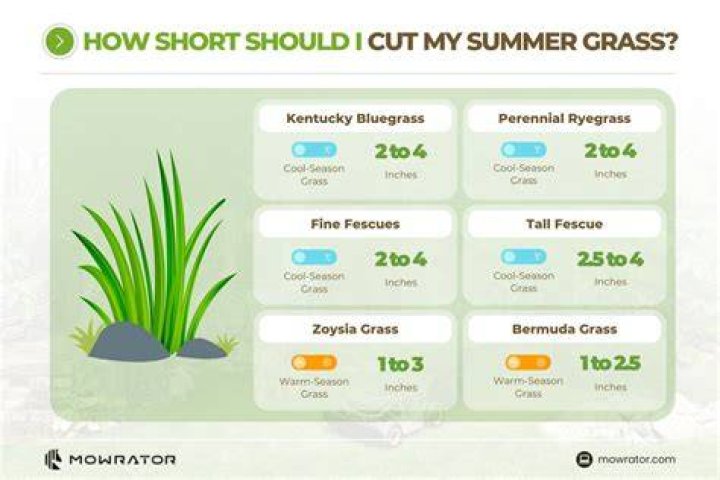 What height should grass be cut?