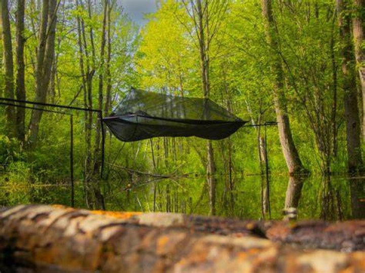 What is a bridge hammock?